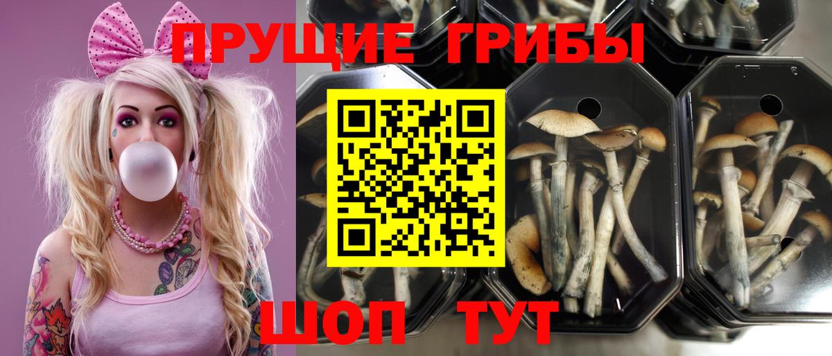 Галлюциногенные грибы прущие грибы Алатырь